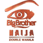Who won big Brother Naija season 3?